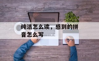 纯洁怎么读，感到的拼音怎么写