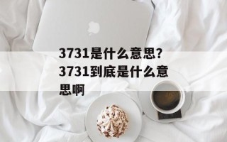 3731是什么意思？3731到底是什么意思啊