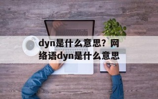 dyn是什么意思？网络语dyn是什么意思