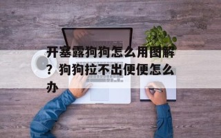 开塞露狗狗怎么用图解？狗狗拉不出便便怎么办