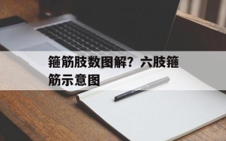 箍筋肢数图解？六肢箍筋示意图