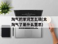 淘气的单词怎么读(太淘气了是什么意思)