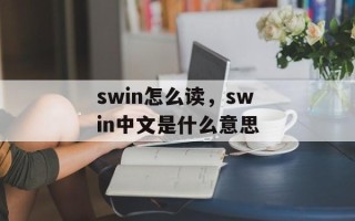 swin怎么读，swin中文是什么意思