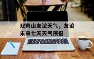 双鸭山友谊天气，友谊未来七天天气预报