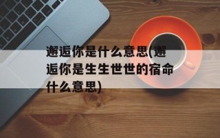 邂逅你是什么意思(邂逅你是生生世世的宿命什么意思)