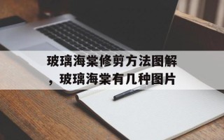 玻璃海棠修剪方法图解，玻璃海棠有几种图片