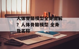 人体骨骼模型全身图解？人体骨骼模型 全身及名称