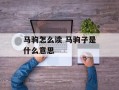 马驹怎么读 马驹子是什么意思