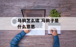 马驹怎么读 马驹子是什么意思