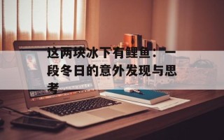 这两块冰下有鲤鱼：一段冬日的意外发现与思考