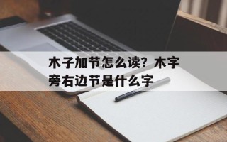 木子加节怎么读？木字旁右边节是什么字