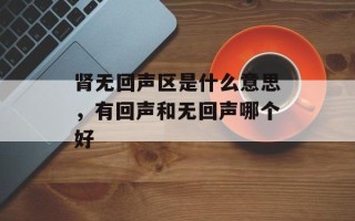肾无回声区是什么意思，有回声和无回声哪个好
