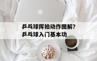 乒乓球挥拍动作图解？乒乓球入门基本功