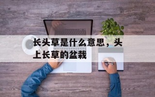 长头草是什么意思，头上长草的盆栽