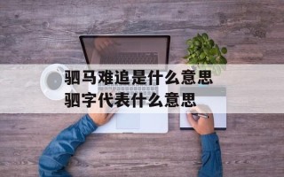 驷马难追是什么意思 驷字代表什么意思