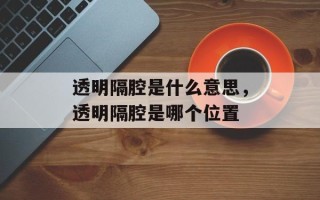 透明隔腔是什么意思，透明隔腔是哪个位置