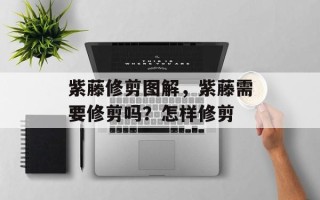 紫藤修剪图解，紫藤需要修剪吗？怎样修剪