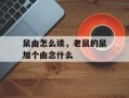 鼠由怎么读，老鼠的鼠加个由念什么