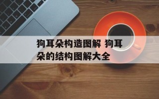 狗耳朵构造图解 狗耳朵的结构图解大全
