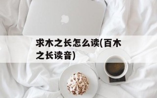 求木之长怎么读(百木之长读音)