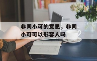 非同小可的意思，非同小可可以形容人吗