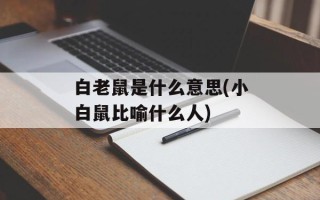 白老鼠是什么意思(小白鼠比喻什么人)