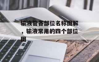 输液管各部位名称图解，输液常用的四个部位图