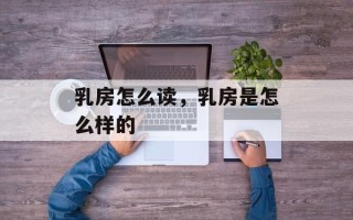 乳房怎么读，乳房是怎么样的