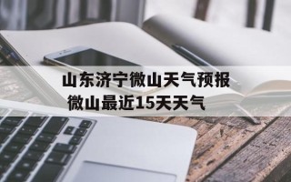 山东济宁微山天气预报 微山最近15天天气