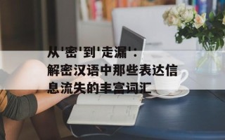 从'密'到'走漏'：解密汉语中那些表达信息流失的丰富词汇