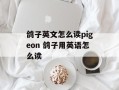 鸽子英文怎么读pigeon 鸽子用英语怎么读