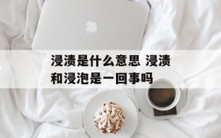 浸渍是什么意思 浸渍和浸泡是一回事吗