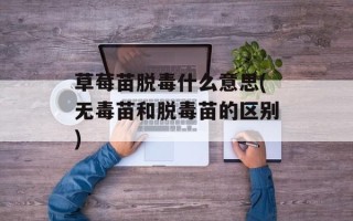 草莓苗脱毒什么意思(无毒苗和脱毒苗的区别)