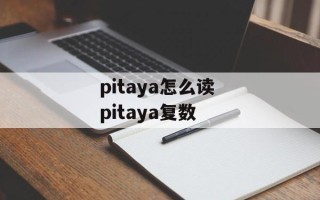 pitaya怎么读 pitaya复数