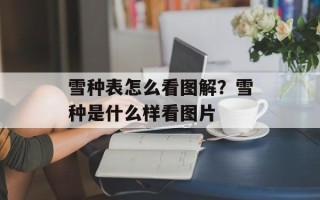 雪种表怎么看图解？雪种是什么样看图片
