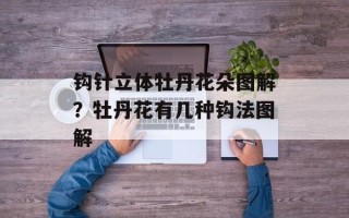 钩针立体牡丹花朵图解？牡丹花有几种钩法图解