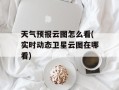 天气预报云图怎么看(实时动态卫星云图在哪看)