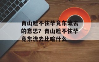 青山遮不住毕竟东流去的意思？青山遮不住毕竟东流去比喻什么