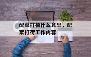配菜打荷什么意思，配菜打荷工作内容