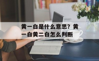 黄一白是什么意思？黄一白黄二白怎么判断