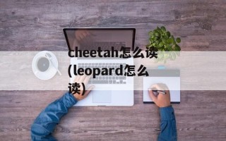 cheetah怎么读(leopard怎么读)