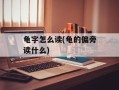 龟字怎么读(龟的偏旁读什么)
