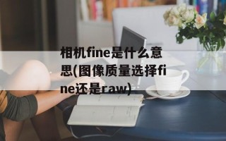 相机fine是什么意思(图像质量选择fine还是raw)
