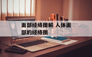 面部经络图解 人体面部的经络图