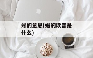 蜥的意思(蜥的读音是什么)