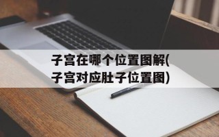 子宫在哪个位置图解(子宫对应肚子位置图)
