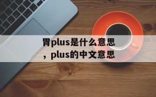 胃plus是什么意思，plus的中文意思