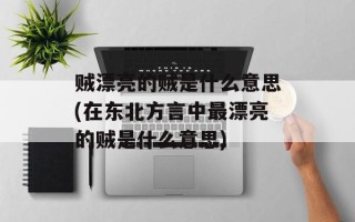 贼漂亮的贼是什么意思(在东北方言中最漂亮的贼是什么意思)