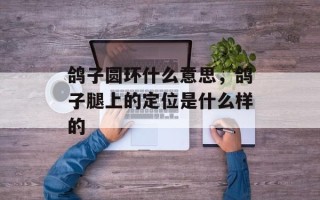 鸽子圆环什么意思，鸽子腿上的定位是什么样的