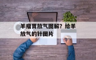 羊瘤胃放气图解？给羊放气的针图片